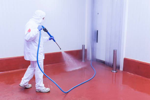 Best Sidewalk and Walkway Cleaning  in Lakeside, FL