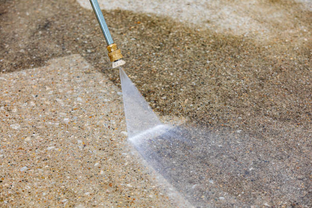 Best Driveway Pressure Washing  in Lakeside, FL